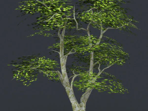 low poly tree 04 3D Model