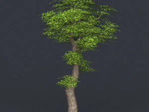 low poly tree 05 3D Model