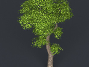 low poly tree 05 3Dモデル