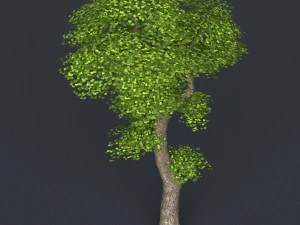 low poly tree 05 3D Model
