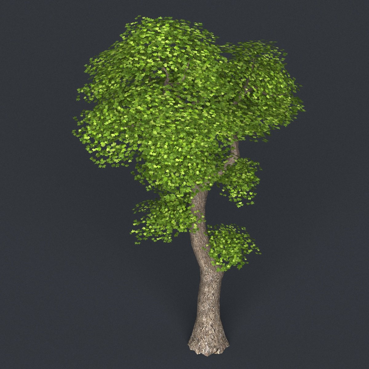 Игра g5 дерево. Материал дерева для 3d max. Obj модели пустынные деревья. Dmf5 tree. Tree 5.