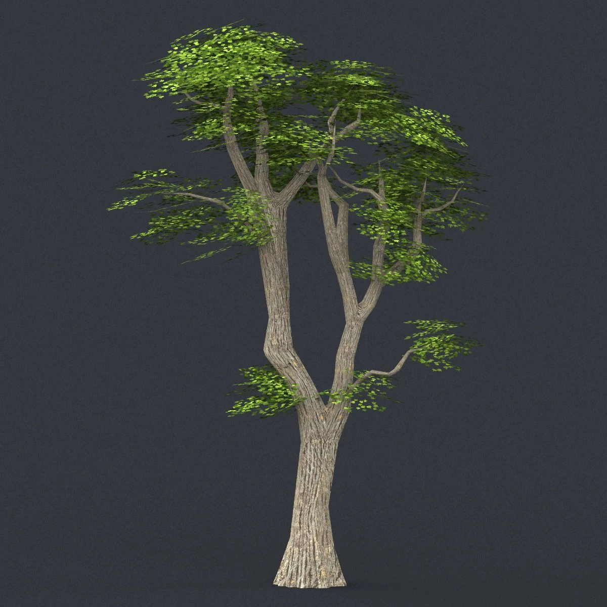 albero in poli basso 06 Modello 3D .c4d .max .obj .3ds .fbx .stl .blend 