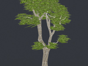 low poly tree 06 Modelo 3D