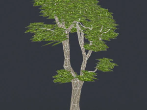 albero in poli basso 06 Modello 3D