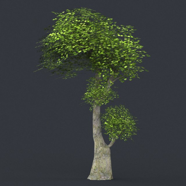 low poly tree 07 3D 모델 .c4d .max .obj .3ds .fbx .stl .blend 