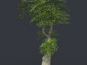 low poly tree 07 3D 모델
