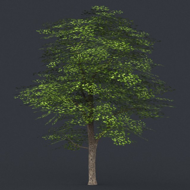 low poly tree 08 3D Model .c4d .max .obj .3ds .fbx .stl .blend 