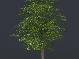 low poly tree 08 3D Model