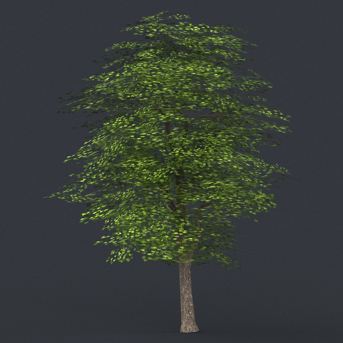 Trees for 3ds max. 8 trees. 8 trees. Национальный парк редвуд секвойя. 8 trees.