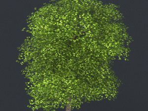 low poly tree 08 3D Model