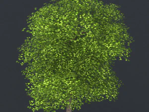 low poly tree 08 3D Model