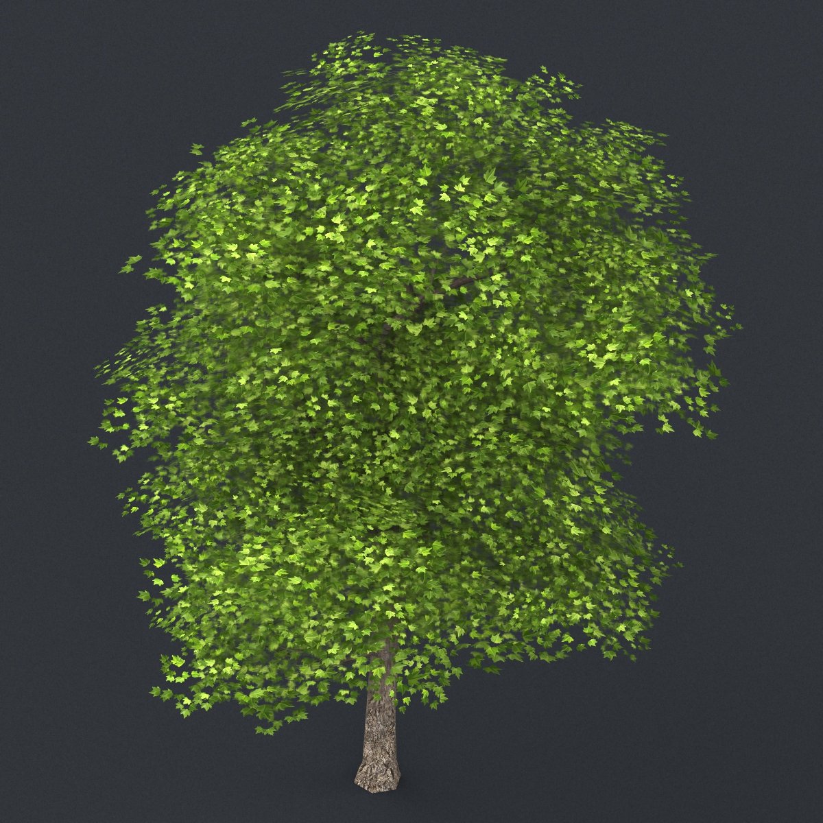 Национальный парк секвойя калифорния сша. Дерево low poly. Дерево low poly. 8 trees. Деревья для 3d max.