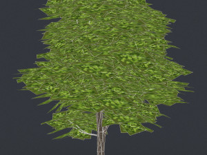 low poly tree 08 3D Model