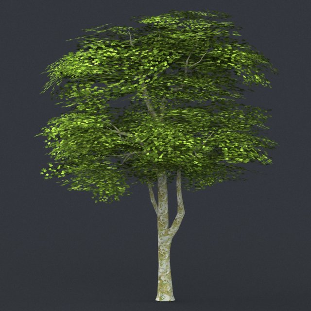 low poly tree 09 3D 模型 .c4d .max .obj .3ds .fbx .stl .blend 