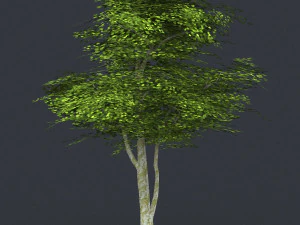 низкополигональная дерево 09 3D Модель