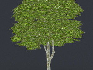 low poly tree 09 3D 模型