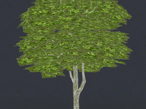 низкополигональная дерево 09 3D Модель