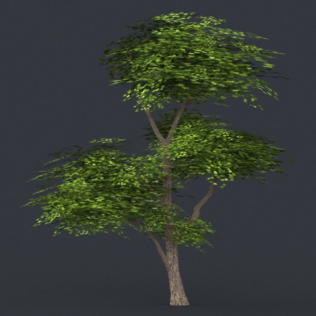 low poly tree 10 3D 모델 .c4d .max .obj .3ds .fbx .stl .blend 