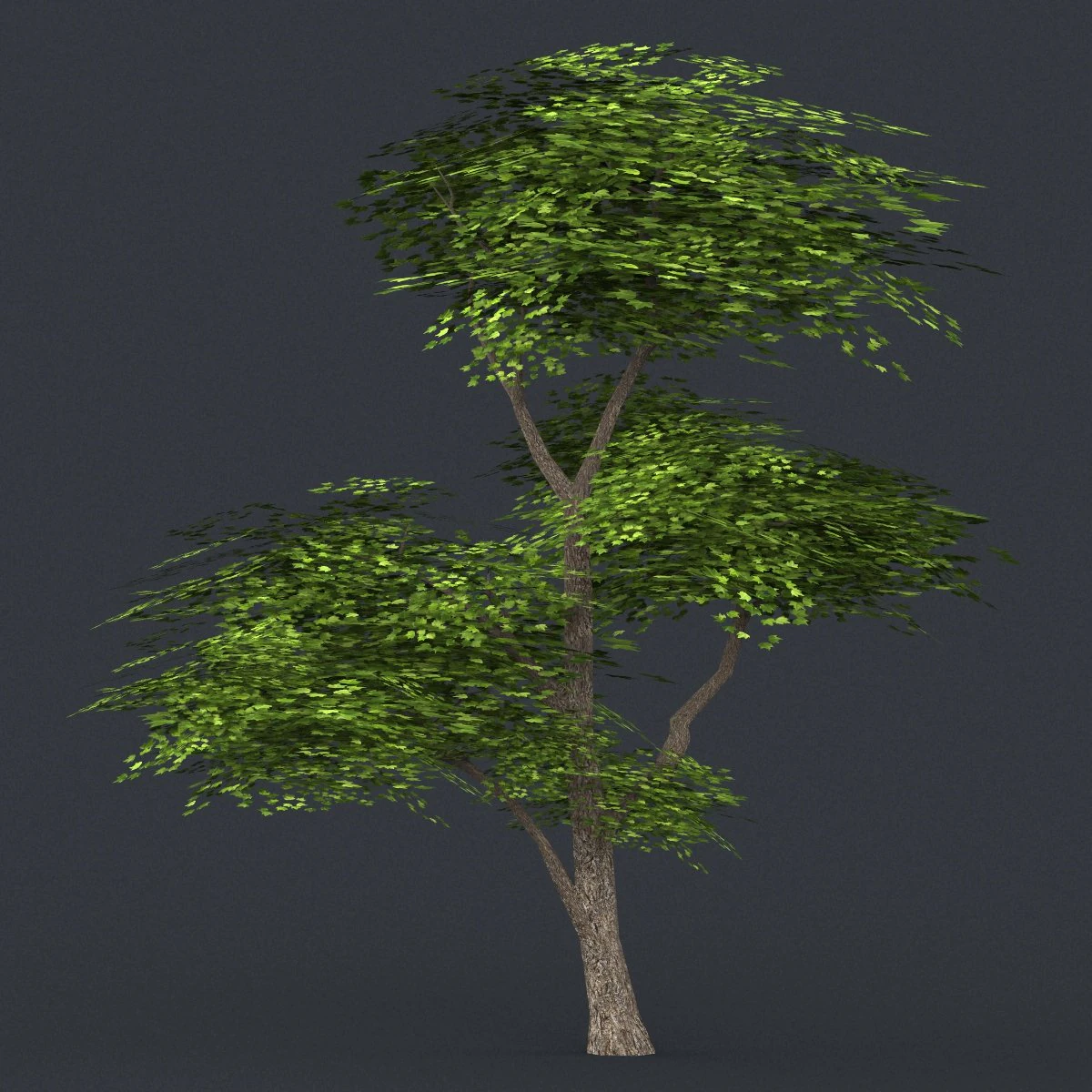 low poly tree 10 3D Model .c4d .max .obj .3ds .fbx .stl .blend 