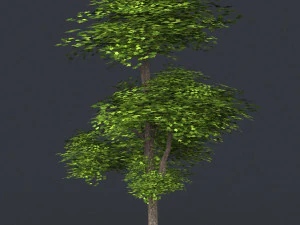 low poly tree 10 3D Model