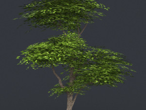 low poly tree 10 3D 모델