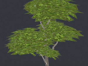 low poly tree 10 3D 모델