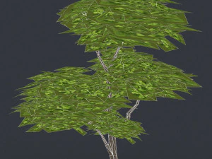 low poly tree 10 3D Model