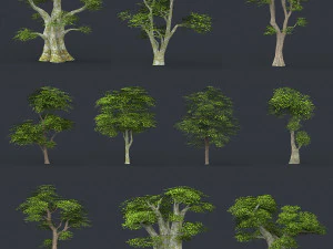 low poly 10 tree collection 3D Model