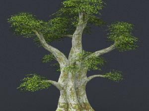 low poly 10 tree collection Modèle 3D