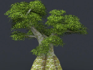 low poly 10 tree collection 3D Model