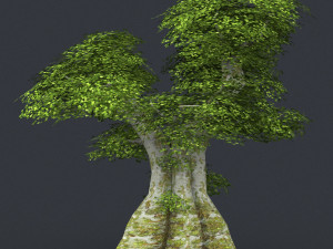 low poly 10 tree collection Modèle 3D