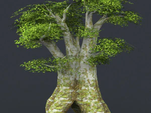 low poly 10 tree collection 3D Model