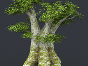 low poly 10 tree collection Modèle 3D