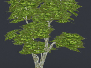 low poly 10 tree collection Modèle 3D