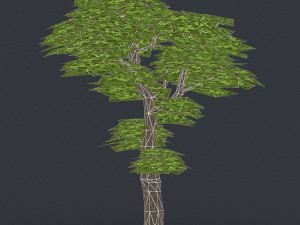 low poly 10 tree collection Modèle 3D
