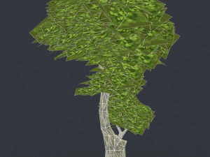 low poly 10 tree collection 3D Model