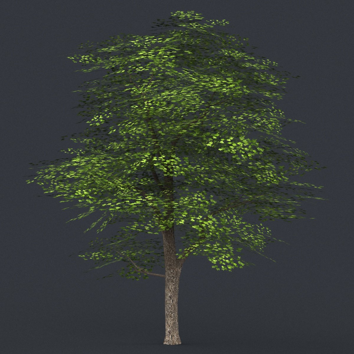 Дерево в 3 d