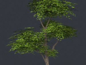 low poly 10 tree collection Modèle 3D