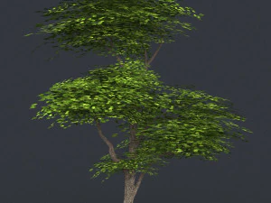 low poly 10 tree collection 3D Model