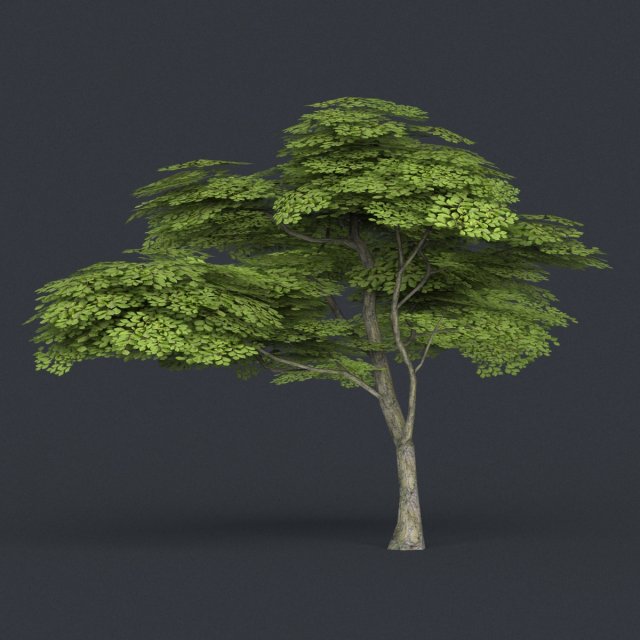 low poly tree 11 3Dモデル .c4d .max .obj .3ds .fbx .stl .blend 