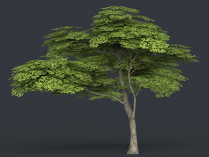 low poly tree 11 3D मॉडल