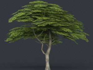 low poly tree 11 3Dモデル