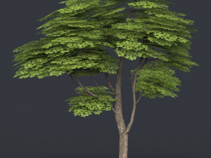low poly tree 12 3D मॉडल