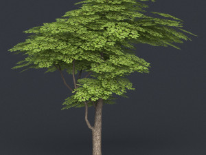 low poly tree 12 Model 3D