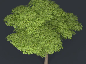 низкополигональная дерево 12 3D Модель