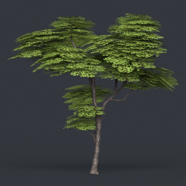 low poly tree 13 3D 模型 .c4d .max .obj .3ds .fbx .stl .blend 