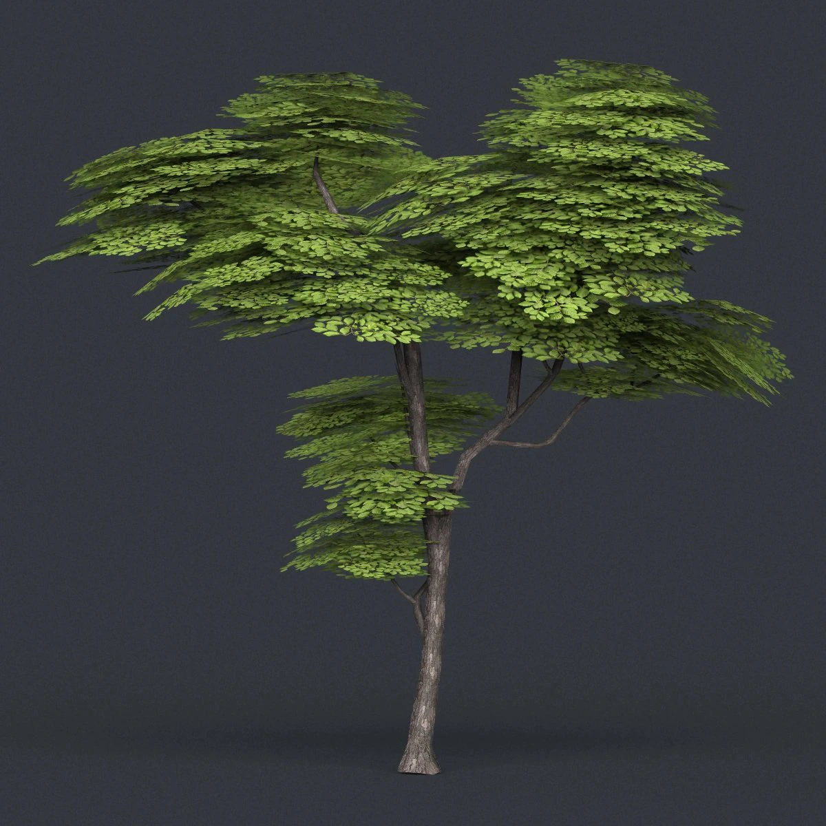 low poly tree 13 3D Model .c4d .max .obj .3ds .fbx .stl .blend 