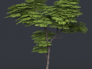 low poly tree 13 3D मॉडल
