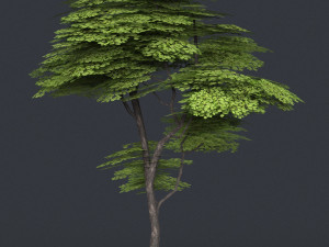 low poly tree 13 3D 模型