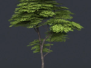 low poly tree 13 3D Model